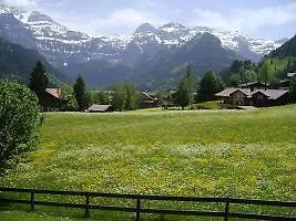 Steinbock #1 *